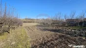 Casă / Vilă , Salcea, Suceava