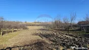 Casă / Vilă , Salcea, Suceava 