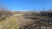 Casă / Vilă , Salcea, Suceava 