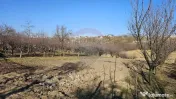 Casă / Vilă , Salcea, Suceava 