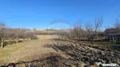 Casă / Vilă , Salcea, Suceava