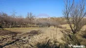Casă / Vilă , Salcea, Suceava