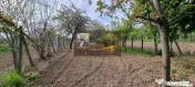 Casa Paunesti/Viisoara/Vrancea/Teren 969 mp 