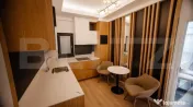 Penthouse cu 2 niveluri, 240 mp, Calea Severinului, zona Han 