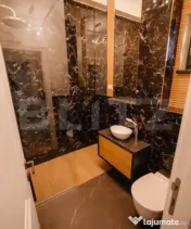 Penthouse cu 2 niveluri, 240 mp, Calea Severinului, zona Han 