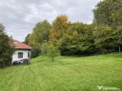 🌿 Întreținere spații verzi | Toaletare pomi fructiferi | Garduri vii 