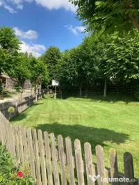🌿 Întreținere spații verzi | Toaletare pomi fructiferi | Garduri vii 