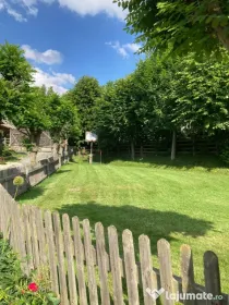 🌿 Întreținere spații verzi | Toaletare pomi fructiferi | Garduri vii