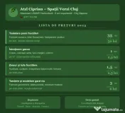 🌿 Întreținere spații verzi | Toaletare pomi fructiferi | Garduri vii 
