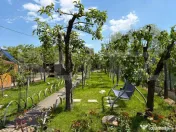 Casa P+1, 900 mp teren, zona Catargiu 