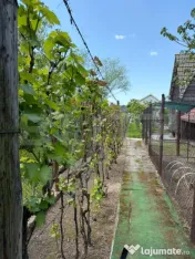 Casa P+1, 900 mp teren, zona Catargiu 
