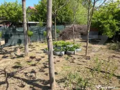 Casa P+1, 900 mp teren, zona Catargiu 