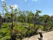 Casa P+1, 900 mp teren, zona Catargiu 