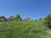 Teren intravilan Moara Nica - 1950 mp 
