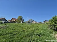 Teren intravilan Moara Nica - 1950 mp 