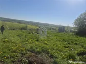 Teren intravilan Moara Nica - 1950 mp 