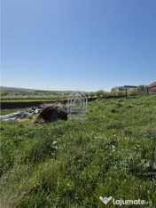 Teren intravilan Moara Nica - 1950 mp 