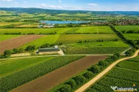 FILM! 18.000 mp, extravilan, agricol constructii:ferma,inve 