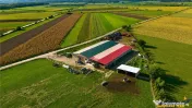 FILM! 18.000 mp, extravilan, agricol constructii:ferma,inve 