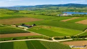 FILM! 18.000 mp, extravilan, agricol constructii:ferma,inve 