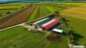 FILM! 18.000 mp, extravilan, agricol constructii:ferma,inve 