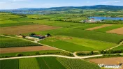 FILM! 18.000 mp, extravilan, agricol constructii:ferma,inve 
