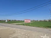 Snagov- Ciofliceni, loturi de casă între 505-628mp, Șerba 