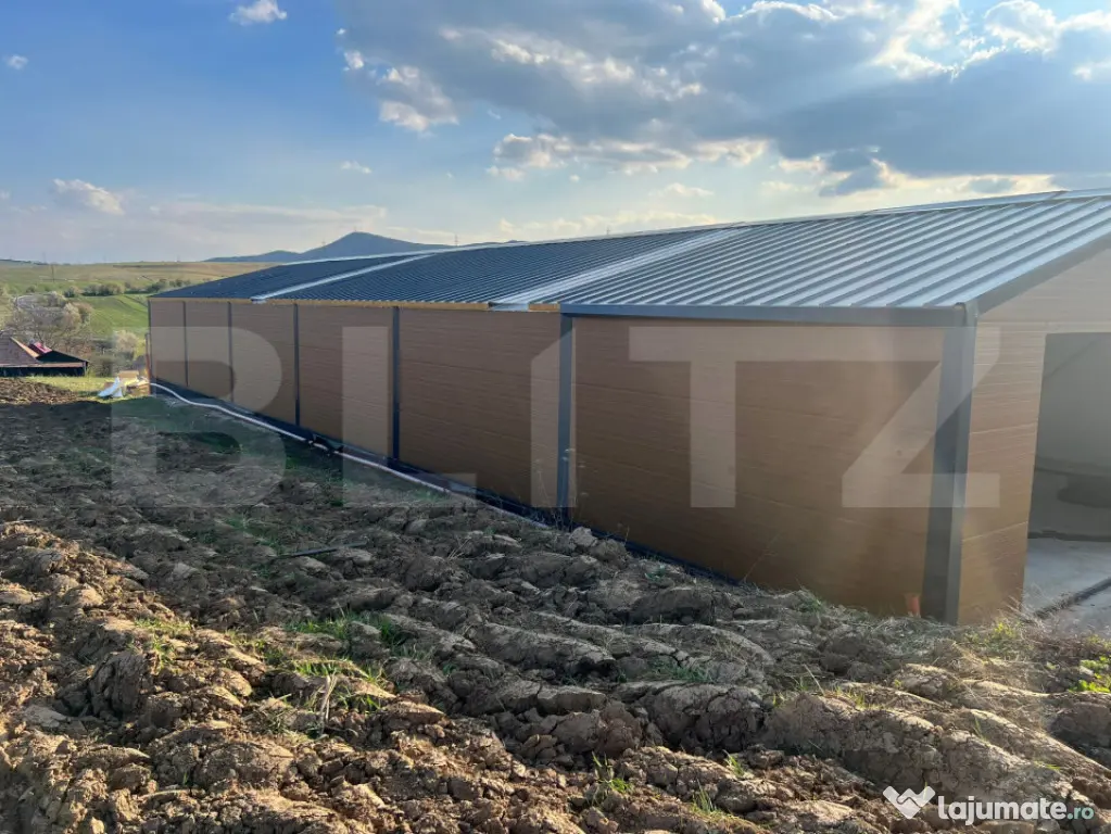 Hala de productie,depozitare de 395 m2 + teren 845 m2 Lita,