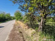 Teren intravilan Calinesti 