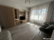 Inchiriere apartament 1 camera zona Calarasilor Viziru etaj 