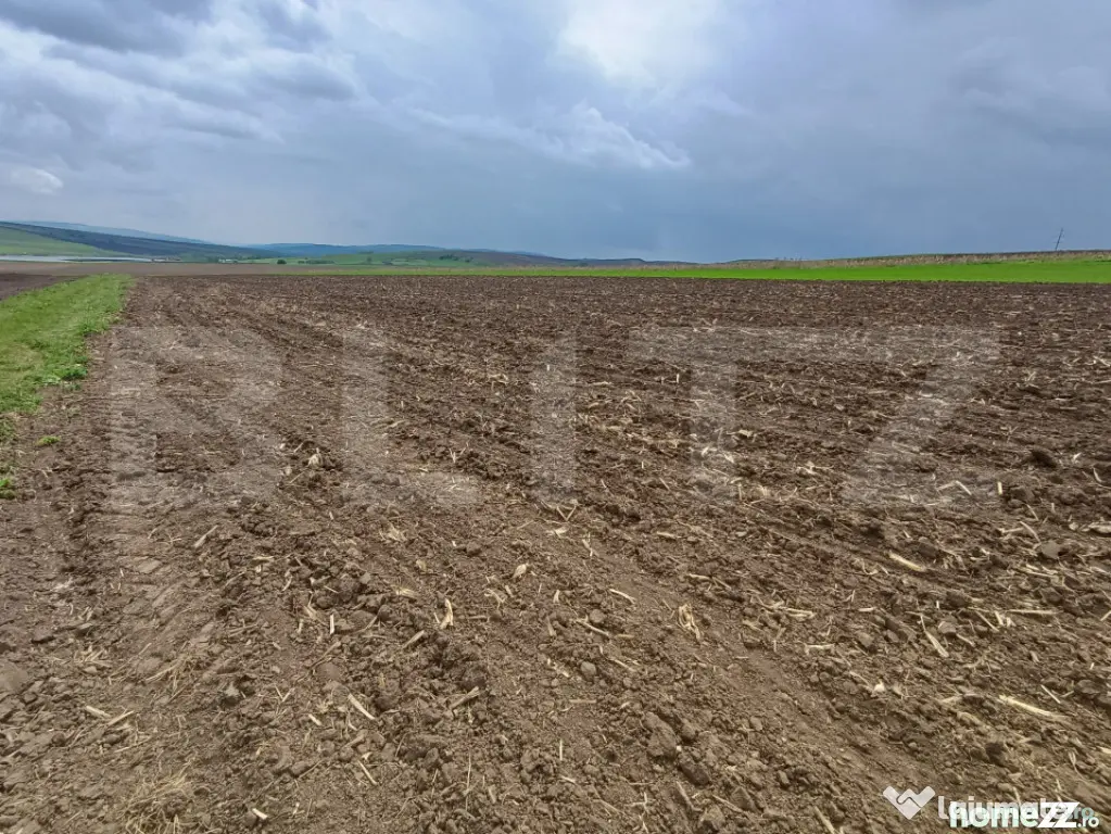 Teren de vanzare extravilan, 50 ari, Cumparatura - Suceava (Suceava)