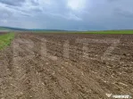 Teren de vanzare extravilan, 50 ari, Cumparatura