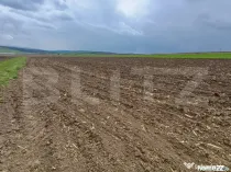 Teren de vanzare extravilan, 50 ari, Cumparatura