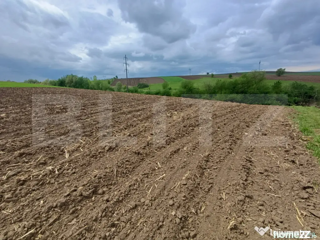 Teren de vanzare extravilan, 50 ari, Cumparatura - Suceava (Suceava)