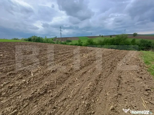 Teren de vanzare extravilan, 50 ari, Cumparatura - Suceava (Suceava)