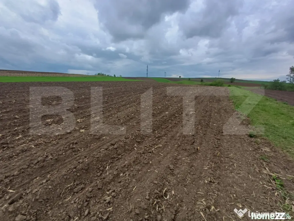 Teren de vanzare extravilan, 50 ari, Cumparatura - Suceava (Suceava)