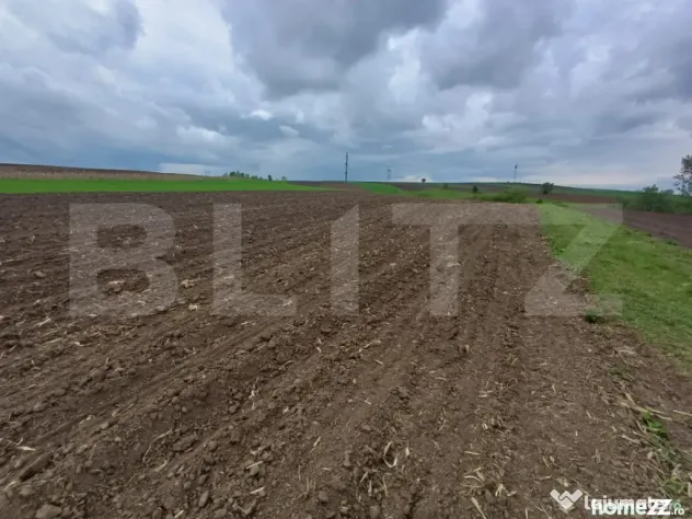 Teren de vanzare extravilan, 50 ari, Cumparatura - Suceava (Suceava)
