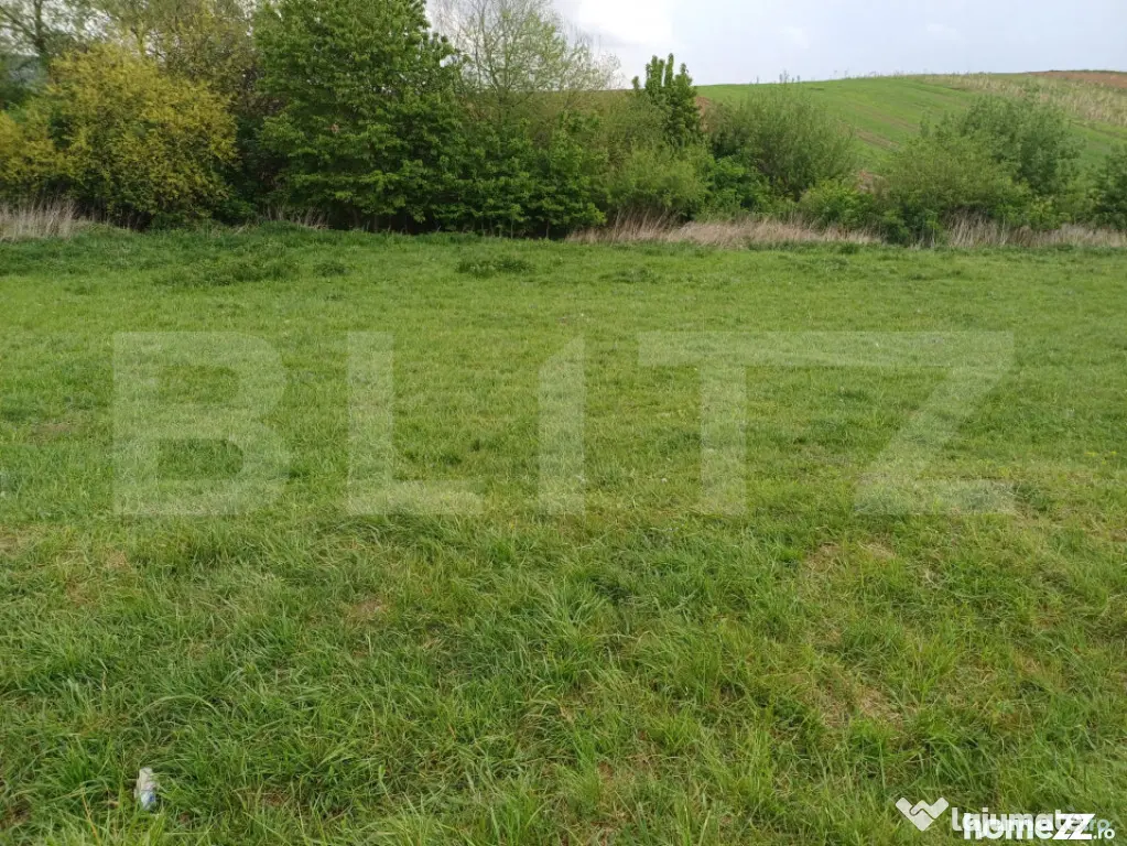 Teren de vanzare extravilan, 50 ari, Cumparatura - Suceava (Suceava)