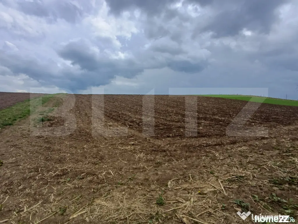 Teren de vanzare extravilan, 50 ari, Cumparatura - Suceava (Suceava)