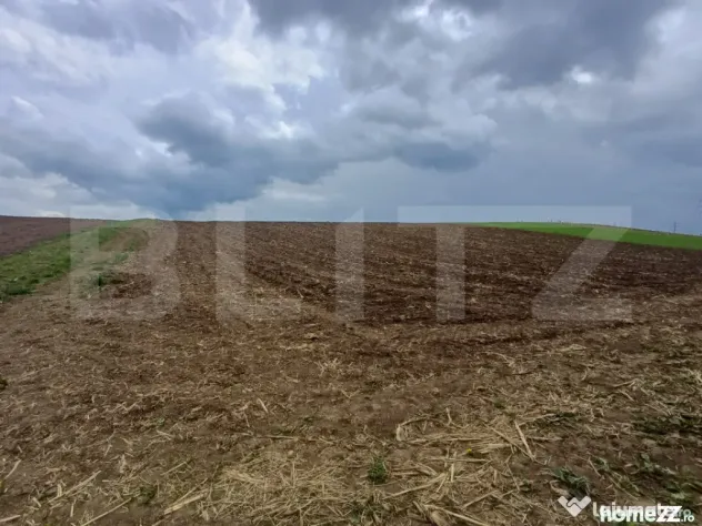 Teren de vanzare extravilan, 50 ari, Cumparatura - Suceava (Suceava)