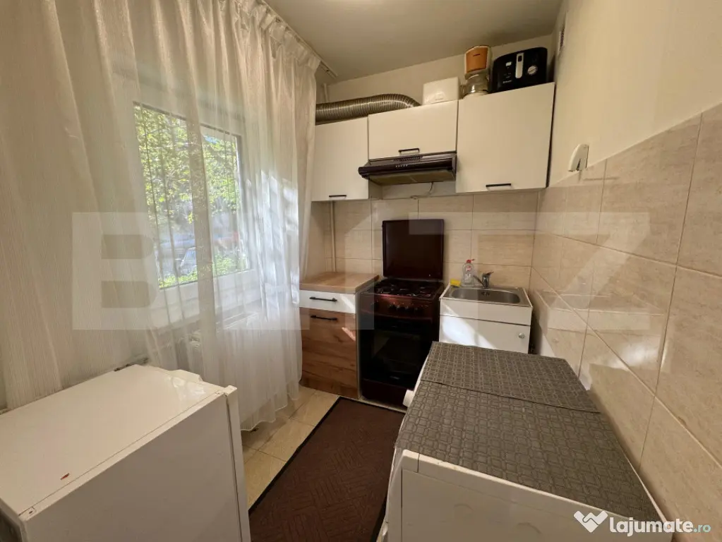 Garsoniera de inchiriat, parter, 30 mp, Rovine
