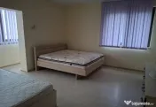 RARITATE IMOBILIARĂ: Reședință de Ultra-Lux-Tineretului 