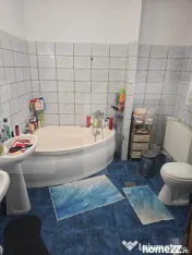 Casa 3 nivele mobilata, 170 mp, gradina mare, zona Iosefin 