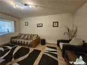 Apartament 2 camere spatios si bine pozitionat, soseaua Mang 