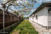 Inchiriere casa mica, cu suflet, la curte, Branesti-Islaz 
