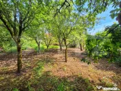 Casa individuala Iris, 770 mp teren, 110 mp utili, zona Rivu 