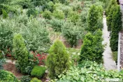 Pensiune Activă & Vilă Premium pe Drumul Poienii | Vedere 
