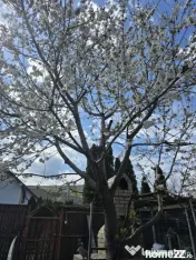 Cladire mica in zona liniștită - valoarea este in teren 