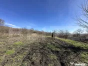 Casa la tara, 4000mp teren, utilitati, acces A10, sat Dumbra 