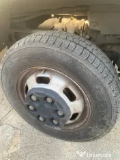 IVECO Daily 35C12 Frigorifică 8 Paleți + Lift ANTEO | 170.000 km | Italia 